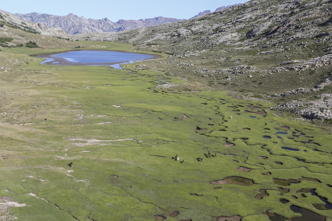 Lac de Ninu, pozzines et chevaux sauvages